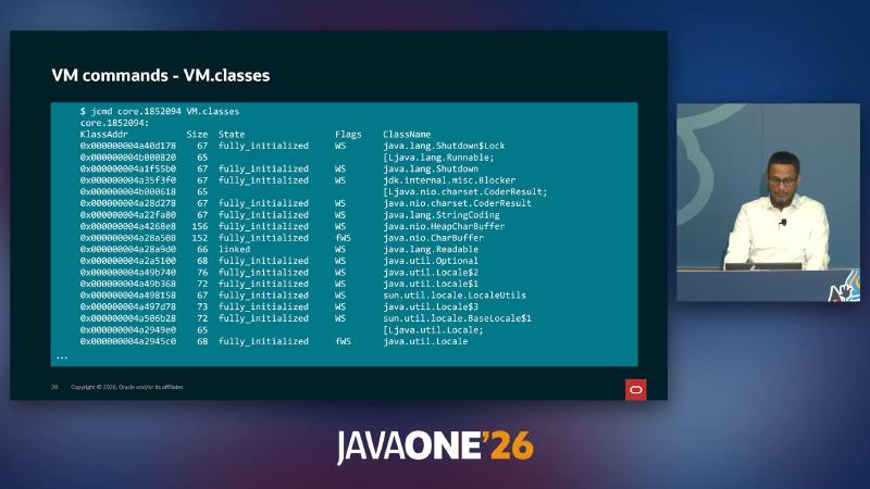 VM.classes：KlassAddr、fully_initialized、java.lang.Shutdown 等类元数据列
